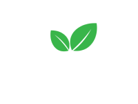 tealandbd